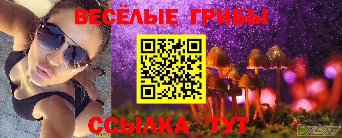 Иваново  Псилоцибиновые грибы Cubensis  Псилоцибиновые грибы ЛСД  Вход с VPN 