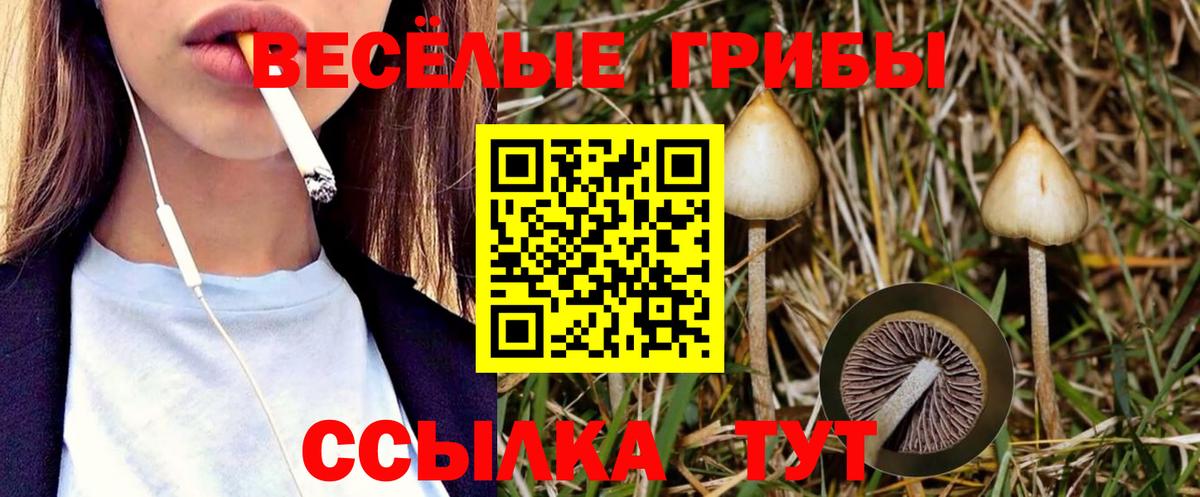 Галлюциногенные грибы Magic Shrooms Иваново